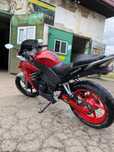 Racer skyway 250
