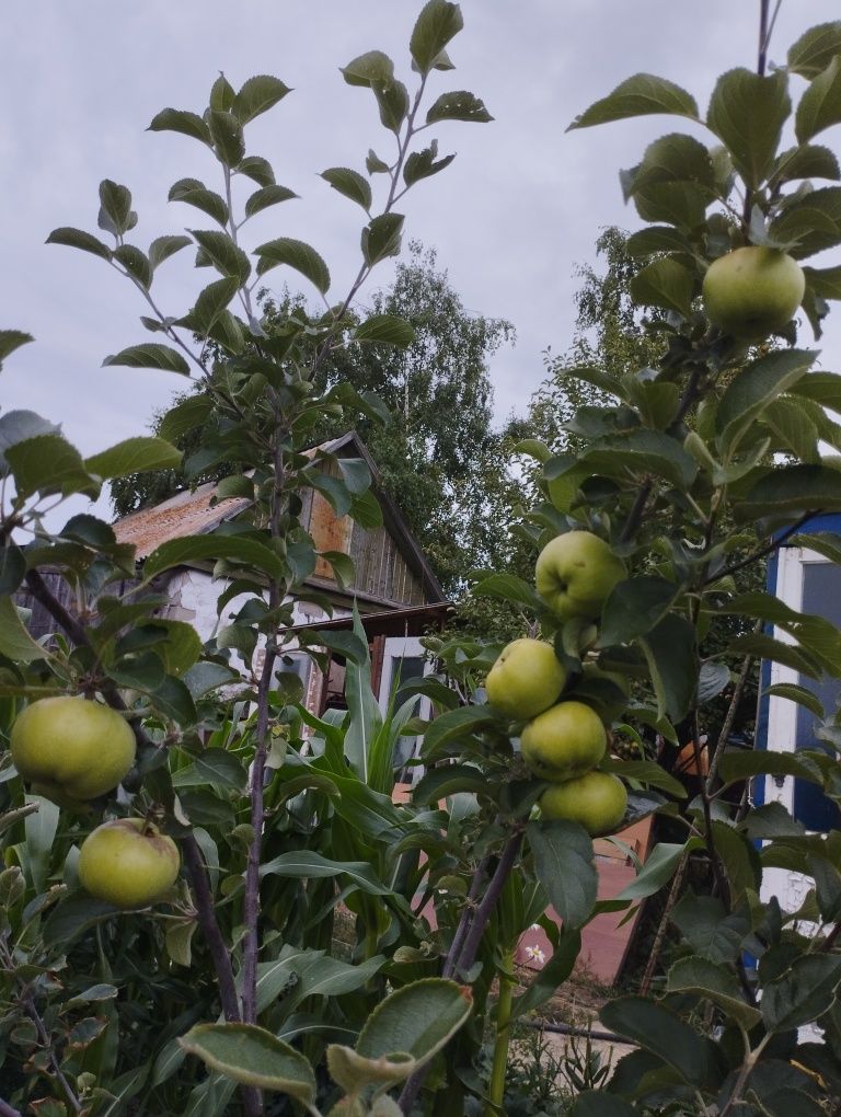 Продам дачу по Красноярской трассе