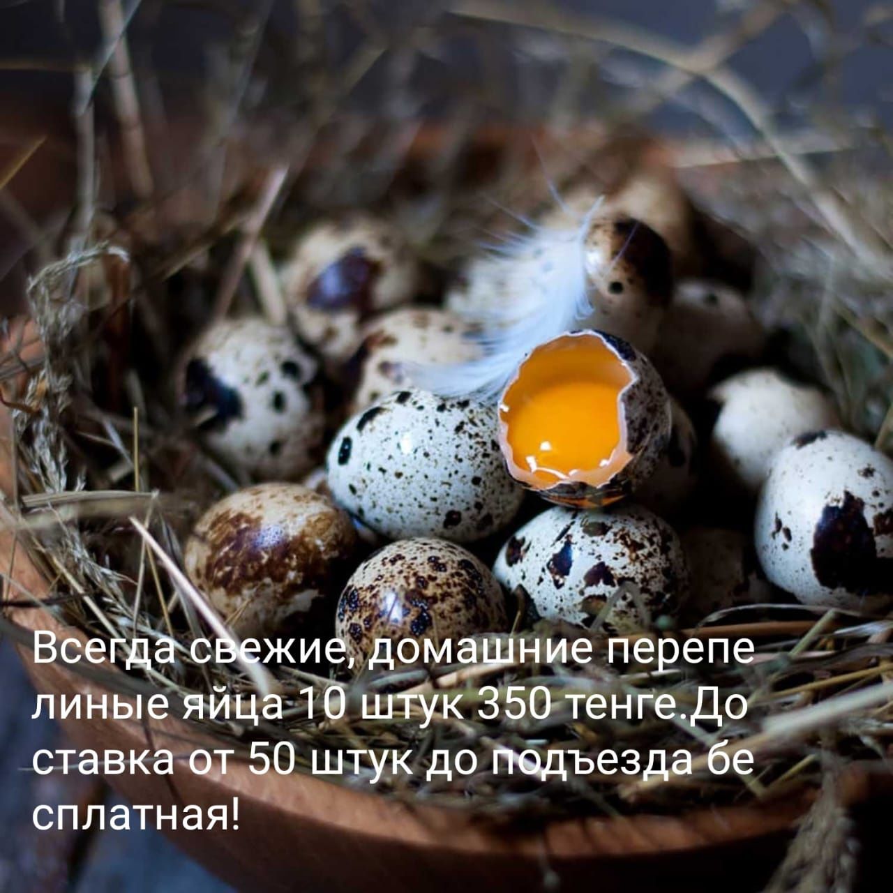 Продам яйцо перепелиное