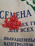Семена Кукурузы Россия краснодарский