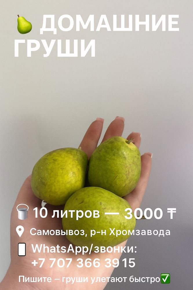 Продам домашние груши