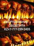 Модное#Food#Оборудование с отправкой по Казахстану!