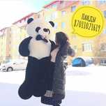 Плюшевые мишки Панды