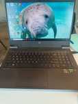 Игровой ноутбук HP и монитор Acer