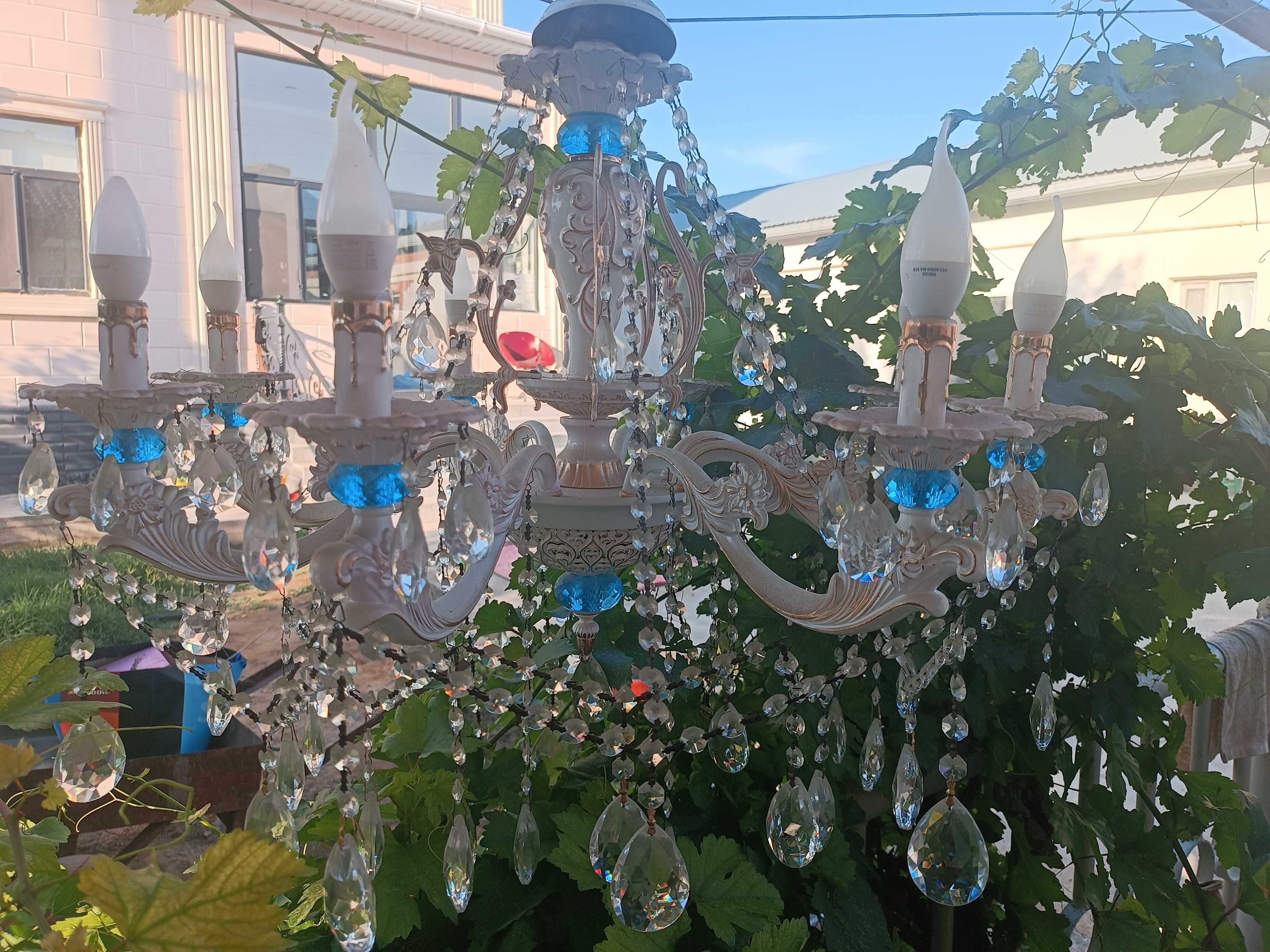 Люстра, комнатные