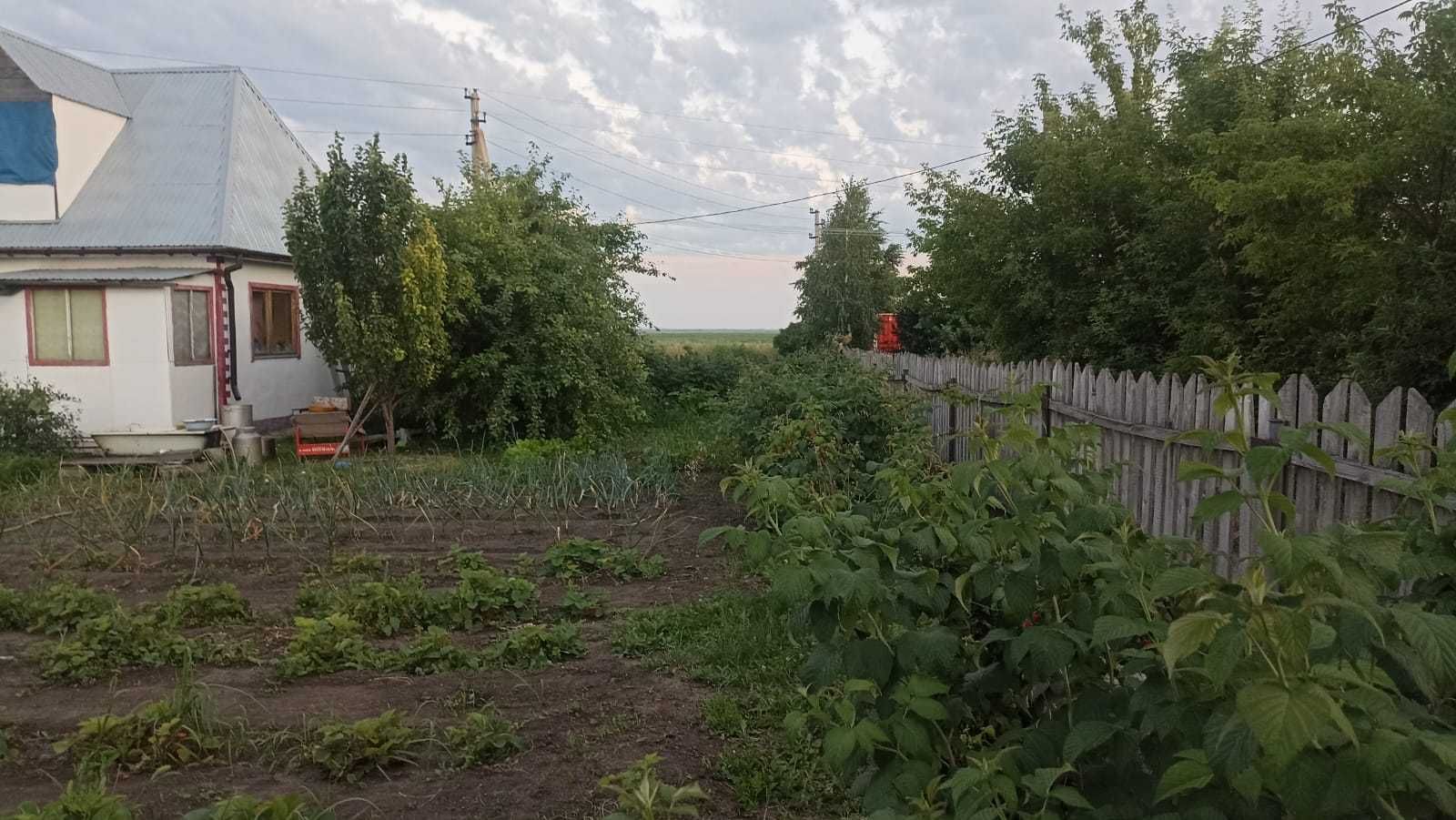 Срочно, Дача не затапливаемая! ТОРГ.
