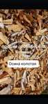 Продам дрова берёза , осина , сосна!