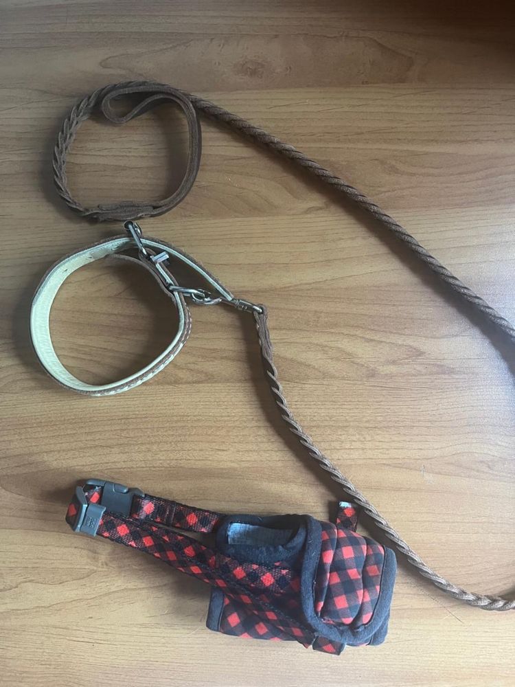 Продам намордник, ошейник