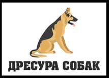 Кинолог. Дрессировка собак любых пород