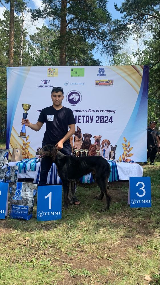 2 айлық таза қанды күшік сатылады