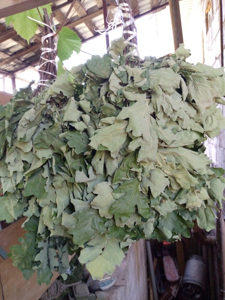 Продам веники дубовые