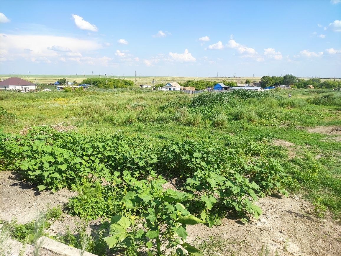 Продам земельный участок
