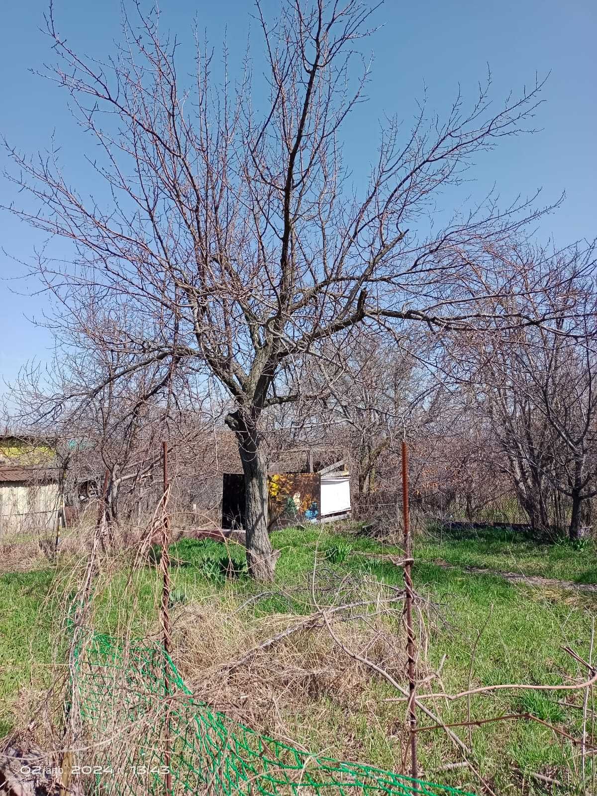 Продам дачный участок дача земля каскелен