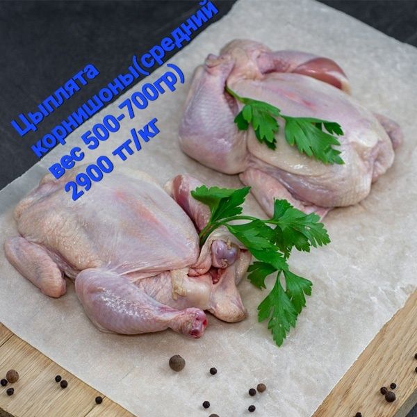 Птица домашняя:гуси, куры, утки, перепёлки, индюки.