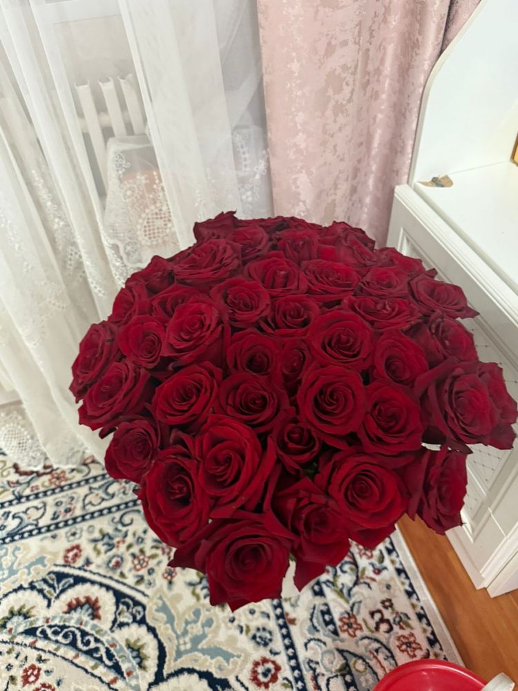 Голланские розы 45шт свежие