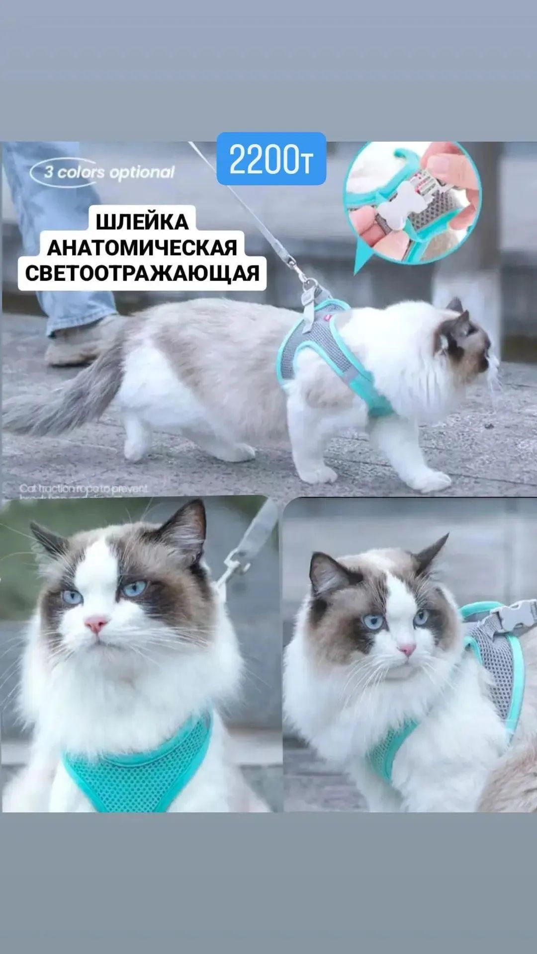 Большой , высокий лоток