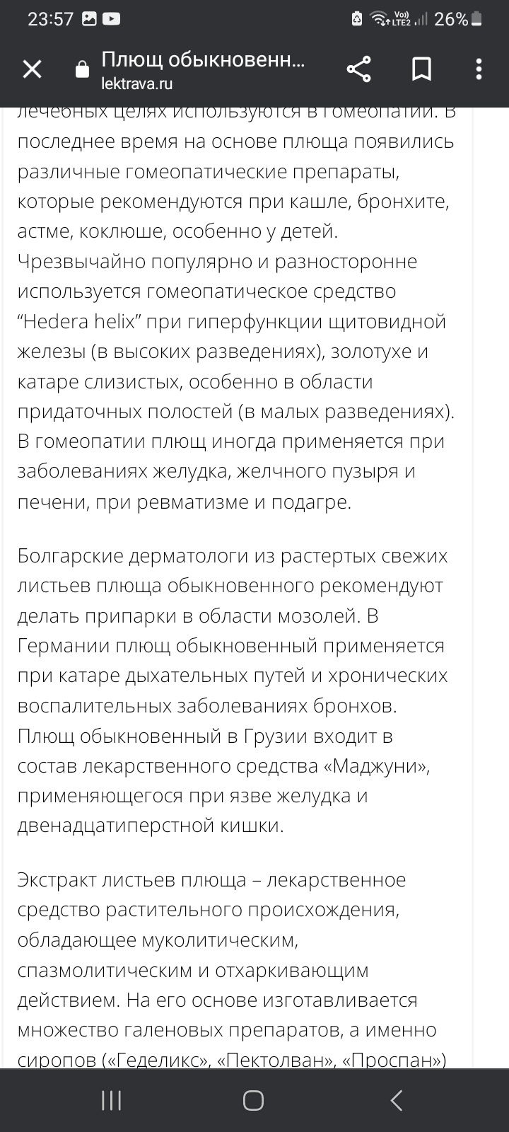 Плющ уличный вечнозелёный.Зимой не опадает.