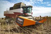 Жатка для уборки подсолнечника  Orange Seed SFH 7800/9800