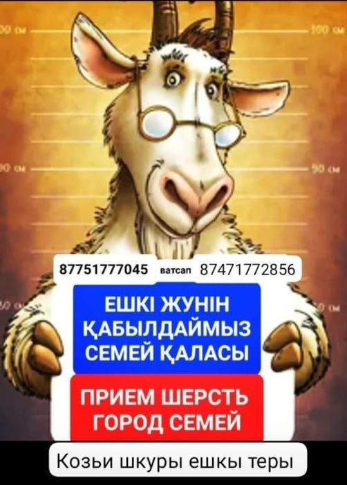 ШЕРСТЬ ДОРОГО шесть козьи
