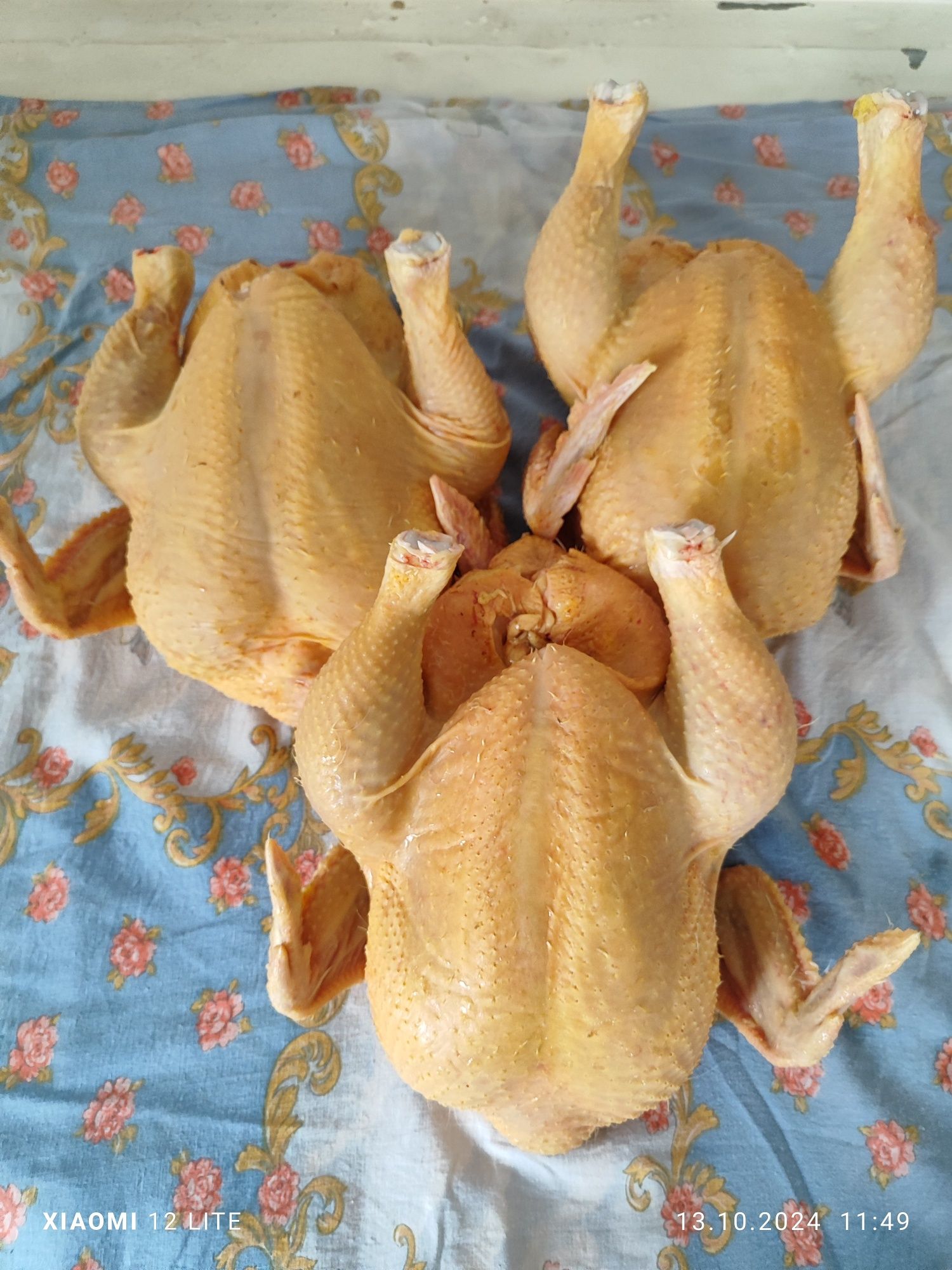 Мясо домашних бройлеров