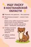 Маленькая ласка.