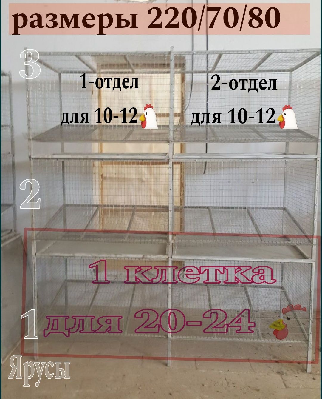Клетка трехярусная можно по 2.  13 клеток по 2 отдела