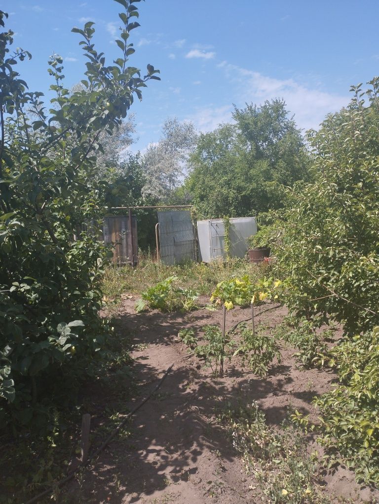 Продам дачу садоводство мелиаратор звоните пишите ватцапе
