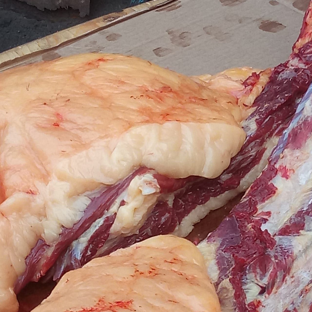 Продам мясо конина аяқтап 3г казы палец