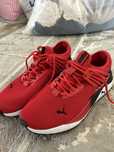 Puma pacer future
