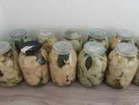 Продам грибы грузди соленые