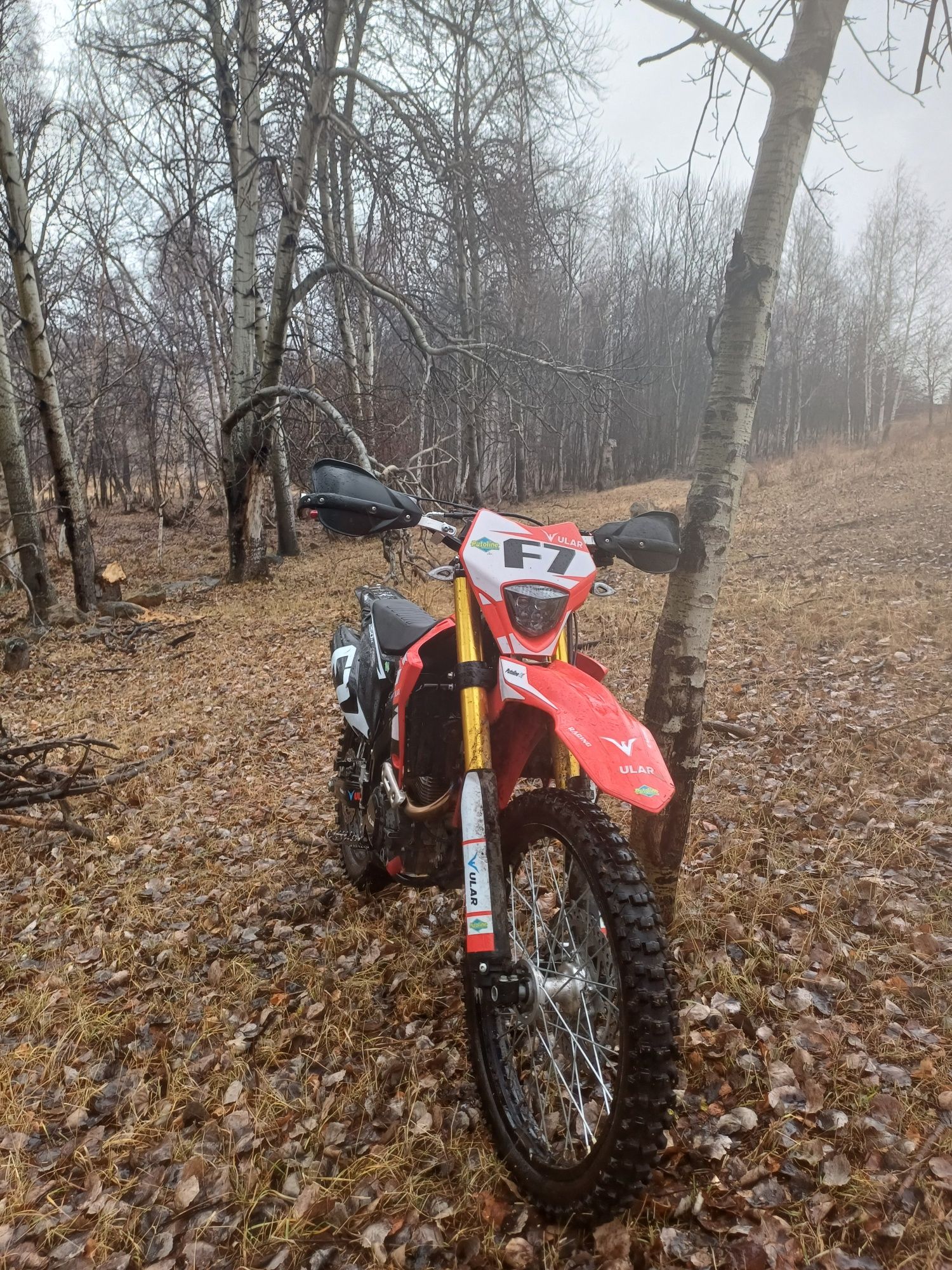 Ular F7 250cc 4t