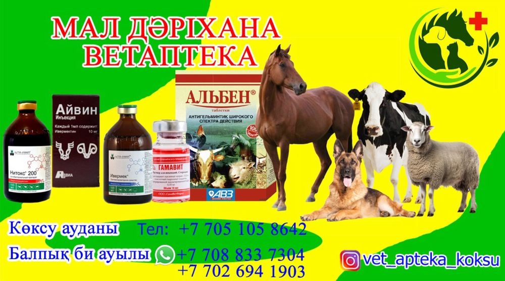 Ветаптека по доступным ценами