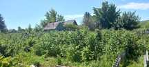 Срочно продаются дача  Шантобе,при Озерное
