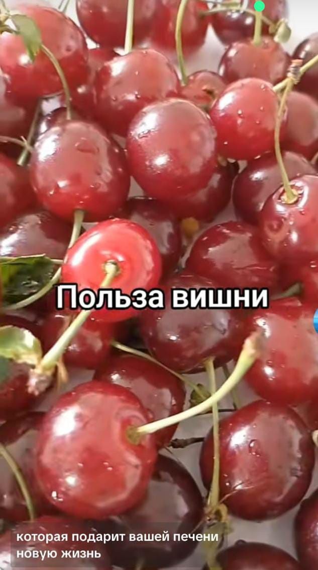 Продам вишню , цена 700 тенге