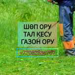 Шөп ору , Тырмалап жинау , Косить траву , Шоп ору , Тал кесу