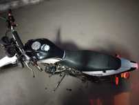 Raker tiger 2020