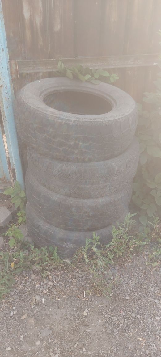 Донгелек сатылат