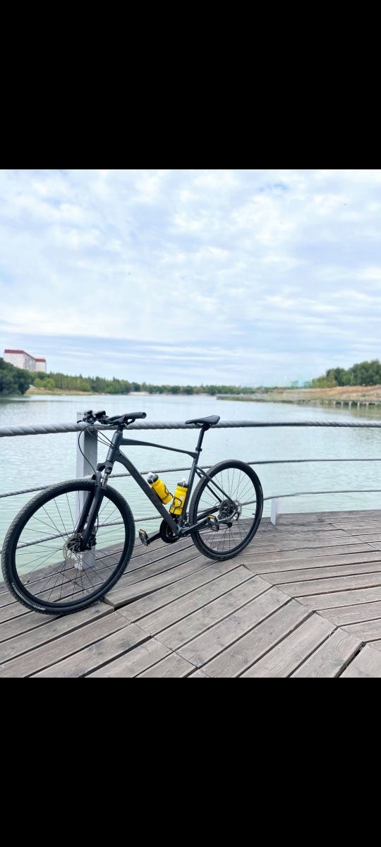 Велосипед Giant Roam 2