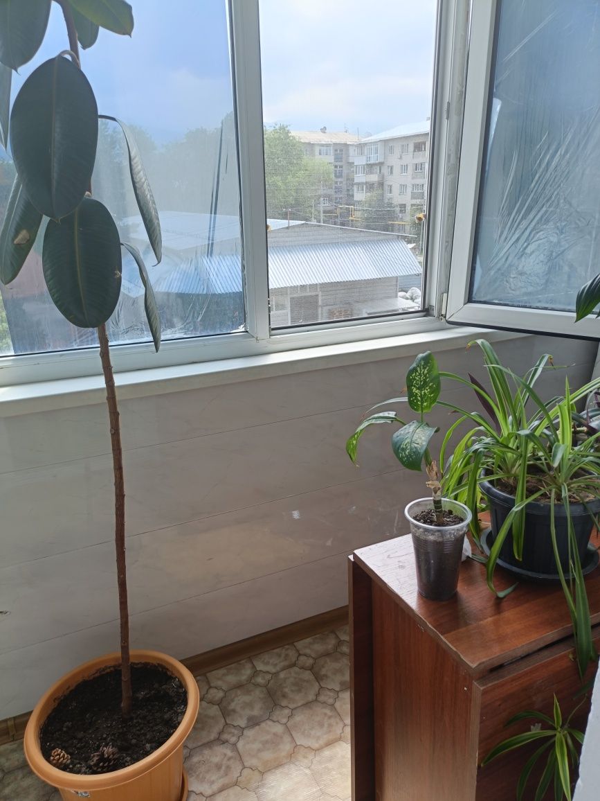Продам квартиру в районе Автобазы