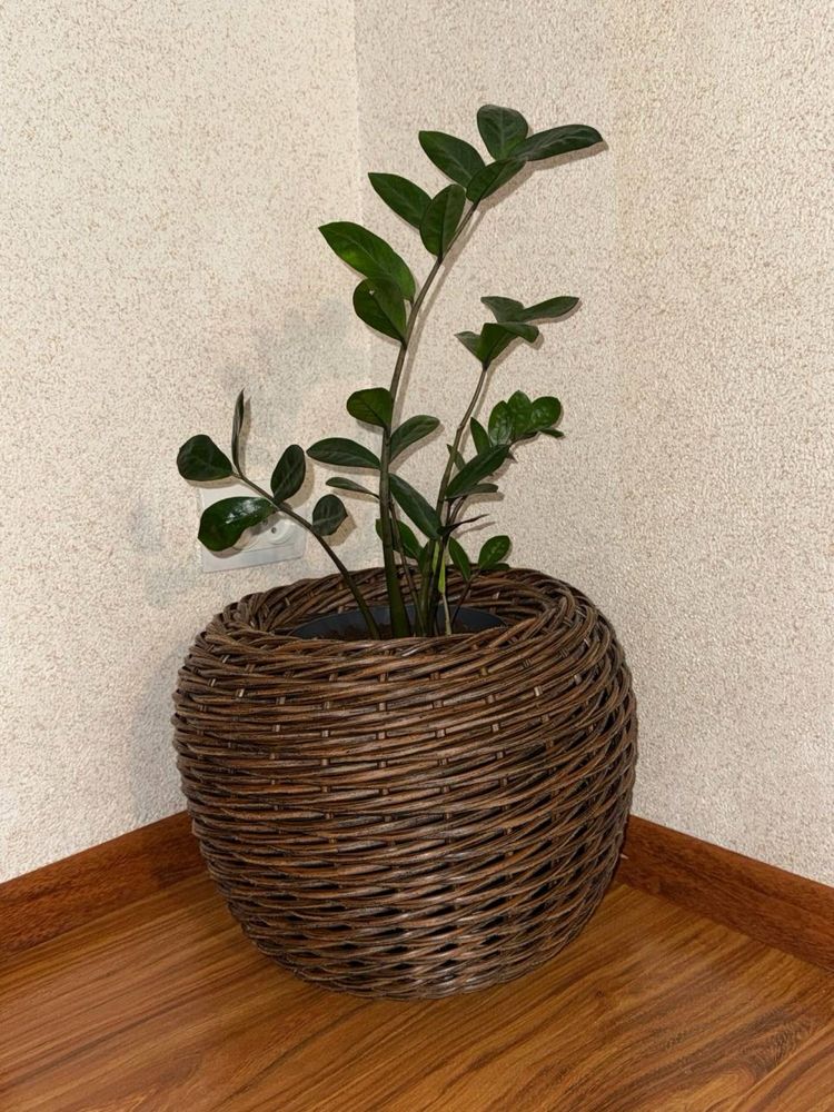 Кашпо из ротанга